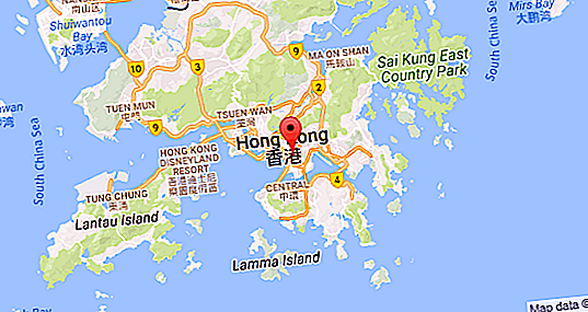 Hongkongs økonomi: land, historie, bruttonationalprodukt, handel, industri, landbrug, beskæftigelse og velfærd