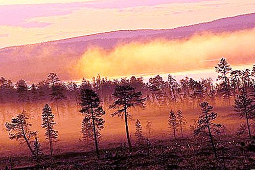 Statens naturreservat "Pasvik". Dyr i reservatet "Pasvik"