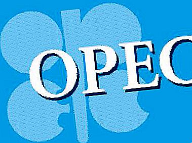 OPEC: funcții de decodare și organizare. Lista țărilor membre OPEC