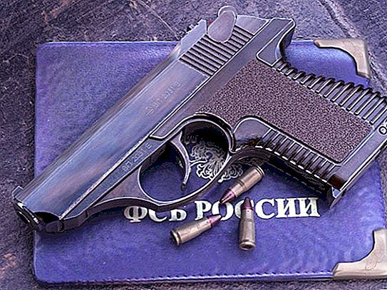 PSM pistole: fotogrāfijas, specifikācijas