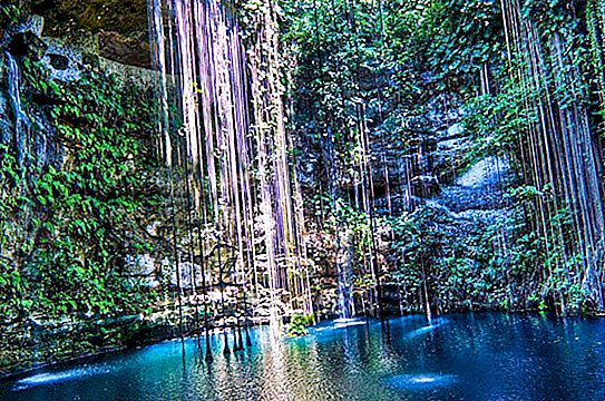 Cenote, México: definición, educación de la naturaleza, ubicación, historia y lugar culto maya