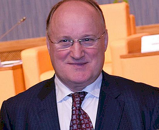 Vladimir Kirillov, viceguvernør i Skt. Petersborg: biografi