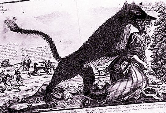 ゼボダンスキー獣：写真、伝説、バージョン、科学的説明、最初の犠牲者