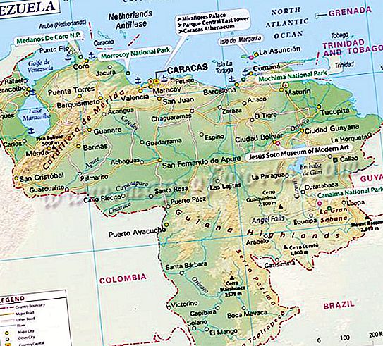 Venezuelan talous: tausta ja kehitys