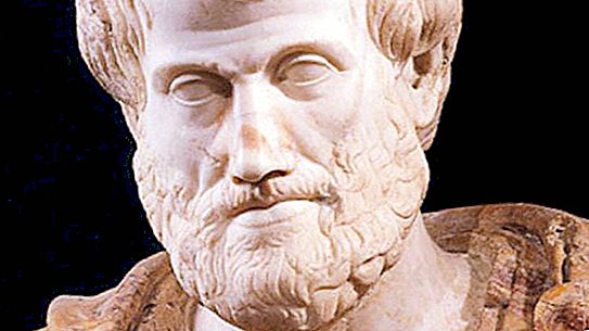 Aristote, ontologie: description, essence et sens. Ontologie et logique d'Aristote