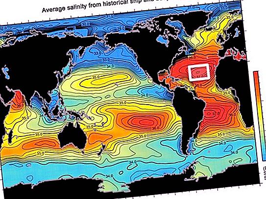 Kakšna je slanost Atlantskega oceana?