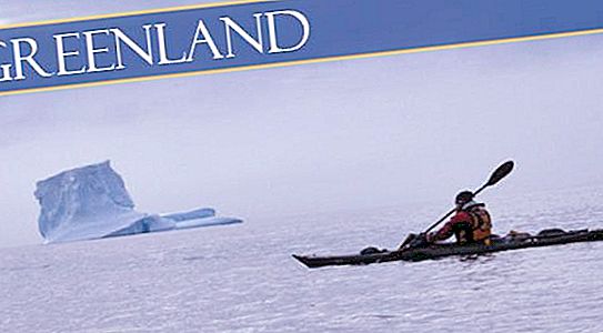 Mare della Groenlandia: descrizione, posizione, temperatura dell'acqua e fauna selvatica