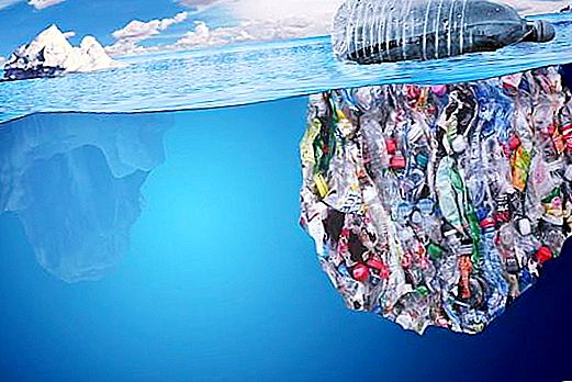 Odpadkový ostrov v Tichém oceánu: příčiny, důsledky, fotografie