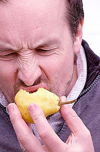 Husband overeating pears - what does it mean? Offensive phrase or funny rhyme