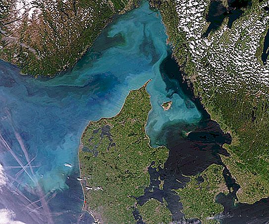 Skagerrak Strait: τοποθεσία, χαρακτηριστικά, χώρες