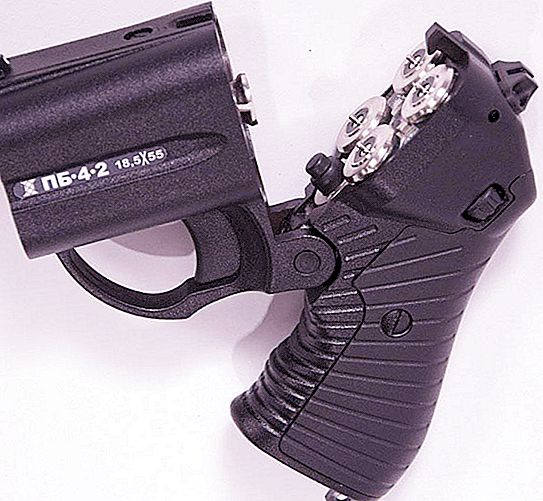 "Wasp M 09": naprava in značilnosti pištole