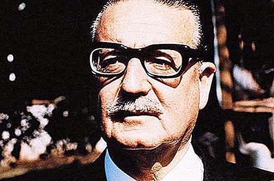 Allende Salvador: biografija, nuotraukos, citatos. Kas nuvertė Salvadorą Allende?
