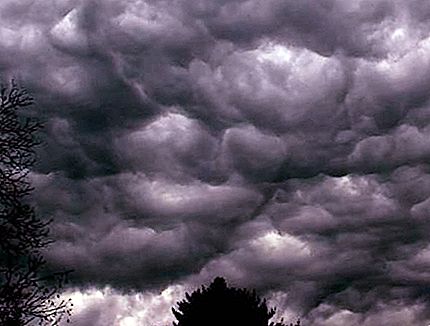 Peringatan badai: kondisi dan karakteristik