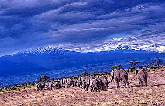 Tanzanija: nacionaliniai parkai ir draustiniai. Saugomos teritorijos