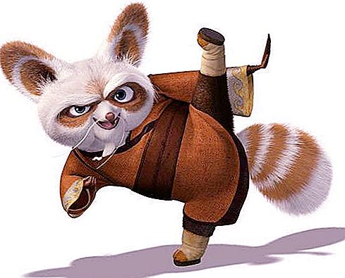 Koks gyvūnų meistras Shifu iš garsaus animacinio filmo „Kung Fu Panda“?