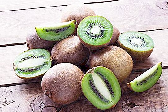 Kiwi strom: popis a zajímavá fakta
