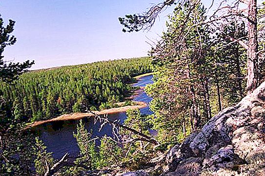 Karelische bossen: beschrijving, natuur, bomen en interessante feiten