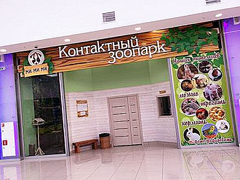 Contacto Zoo en Saratov