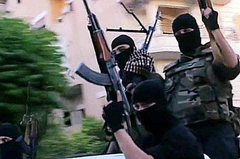 谁是ISIS武装分子？ 他们在做什么？
