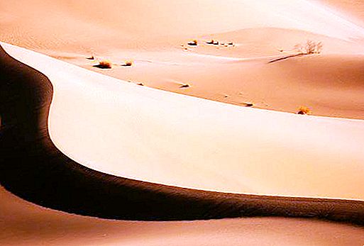 Peščena sipina. Kaj je sipina in kakšna je njena vloga v življenju puščav?