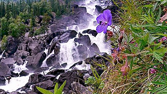 As cachoeiras mais populares de Altai: beleza e força