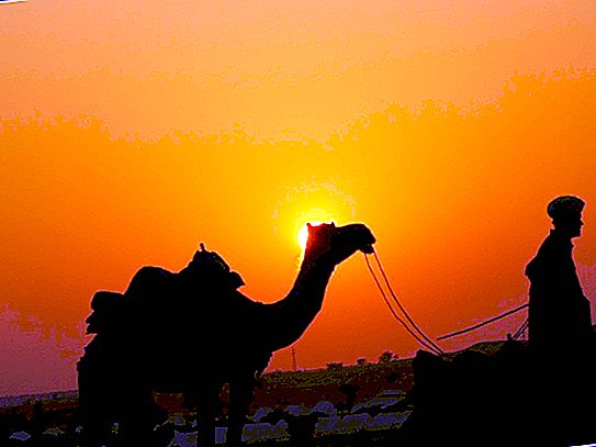 Detti arabi: tutta la saggezza dei beduini a disposizione di tutti