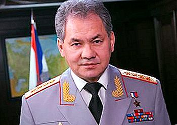 When and for what Shoigu received the Hero of Russia