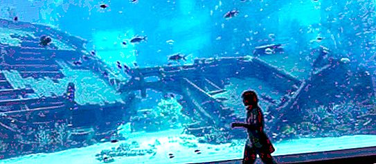 Maailman suurin akvaario: mitat, ominaisuudet