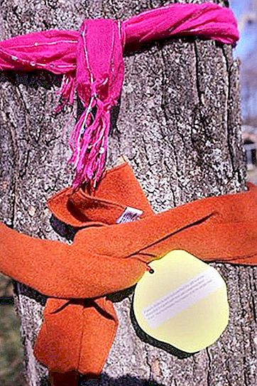Por que em alguns países as pessoas amarram lenços nas árvores: uma experiência que não faria mal em adotar