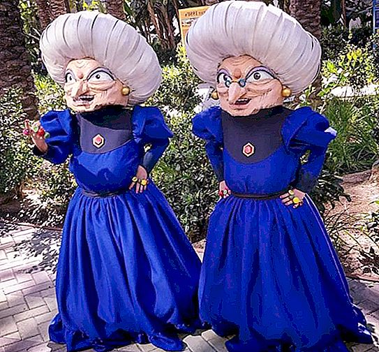 Vienuolikmečiai mieli dvyniai, kurie sukuria įspūdingą įtikinamą cosplay