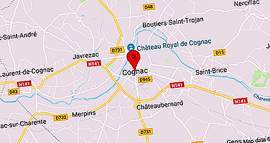 Franska staden Cognac: recension, historia och intressanta fakta