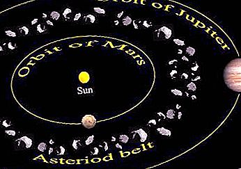 What are the minor planets called, and what are they?