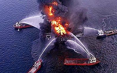 Gulf of Mexico - 21st Century Environmental Disaster