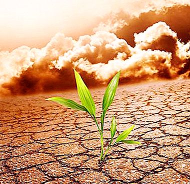 Težave našega časa: onesnaževanje tal in izčrpavanje