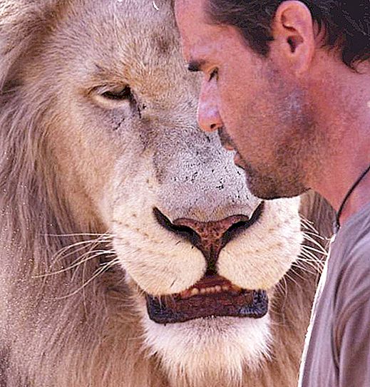 The Beast Caster - Zoolog Kevin Richardson