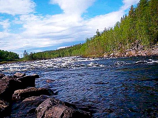 Kola River - a unique place for fishing and recreation