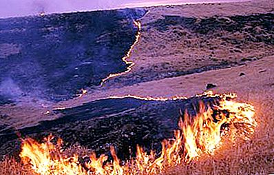 Incendi della steppa. Metodi di estinzione degli incendi delle steppe