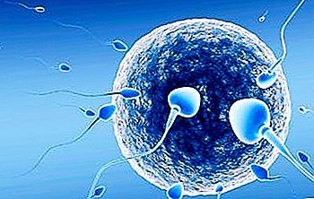 Nota para as mulheres: como descobrir os dias da ovulação