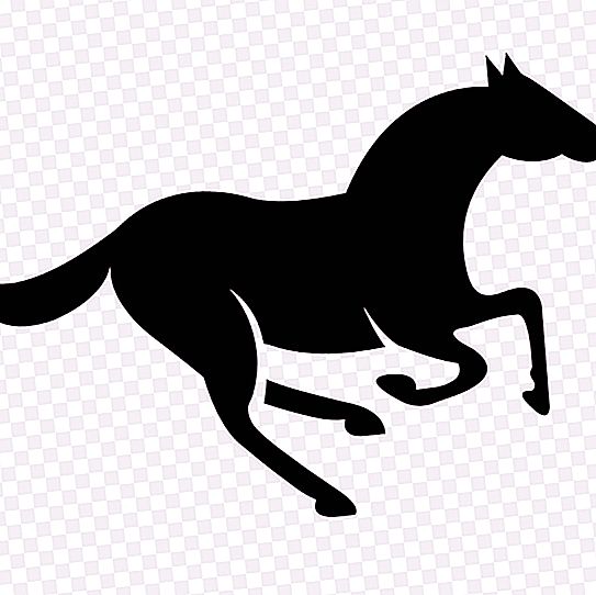 Što je hod: sorte i karakteristike konjičkih utrka