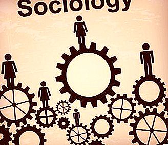 Ngày xã hội học: nó xuất hiện khi nào và chúng ta ăn mừng như thế nào
