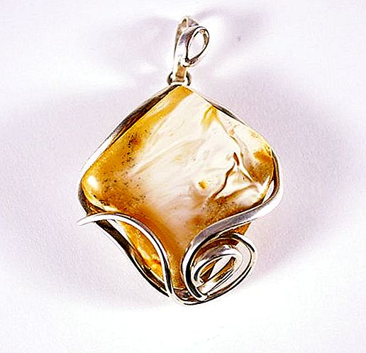 Royal amber: features, properties and photos