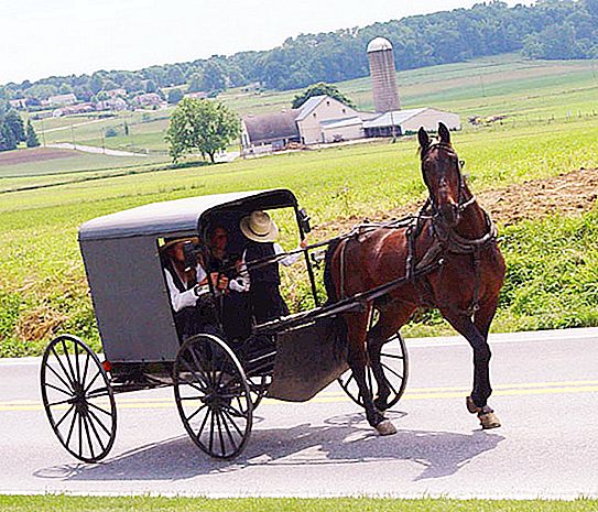 "Enganxat al segle XIX": com s'assembla la vida quotidiana dels Amish - persones que van abandonar voluntàriament els beneficis de la civilització