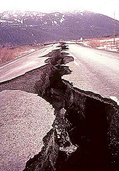 ¿Qué hacer en caso de un terremoto? Seguridad sísmica