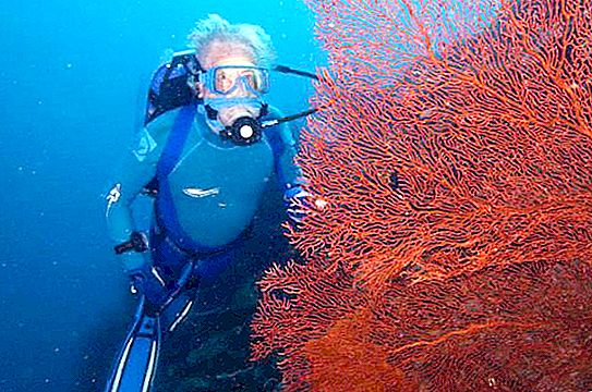 Jean-Michel Cousteau: kehidupan dan kerja penyelidik