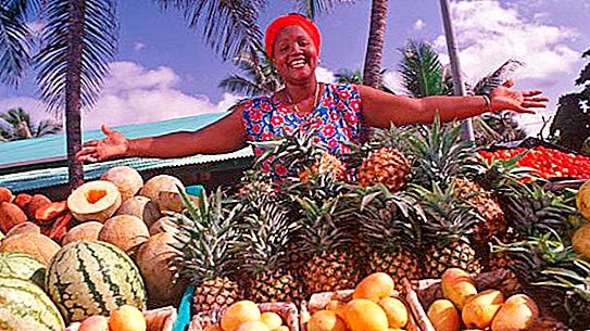 Eksotiske frukter av Den Dominikanske republikk: liste, navn og interessante fakta