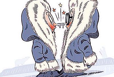 Eskimo poljub: lastnosti delovanja. Bistvo tradicije in njen izvor