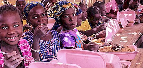 Möglichkeiten zur Lösung des Lebensmittelproblems. Die Geographie des Hungers. UN-Ernährungsprogramm
