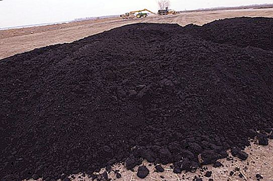 What is river sludge: features and useful properties