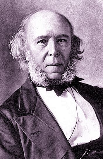 Herbert Spencer: biografi dan idea utama. Ahli falsafah Inggeris dan sosiologi abad ke-19