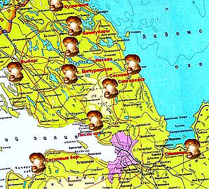 Svampesteder, Leningrad-regionen. Kort over svampesteder
